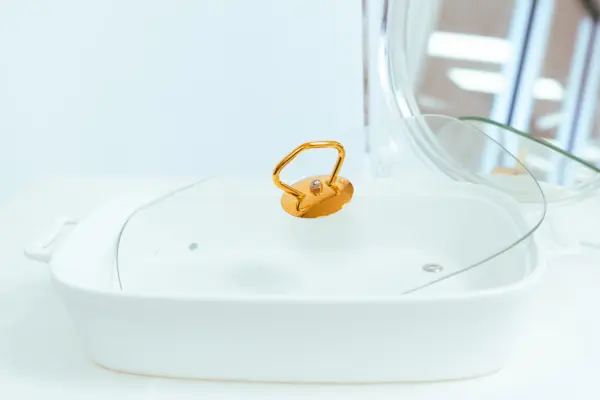 Ceramic Chafing Dish