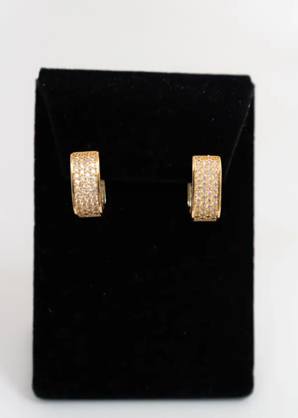 Earrings - Image 2